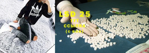 ПСИЛОЦИБИНОВЫЕ ГРИБЫ Янаул