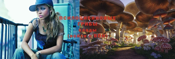 герыч Коряжма