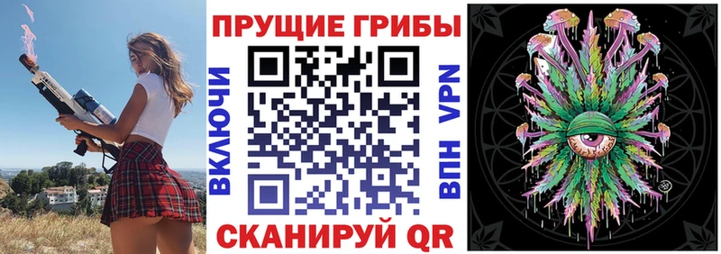 Купить где  Татарск  Псилоцибиновые грибы MAGIC MUSHROOMS 